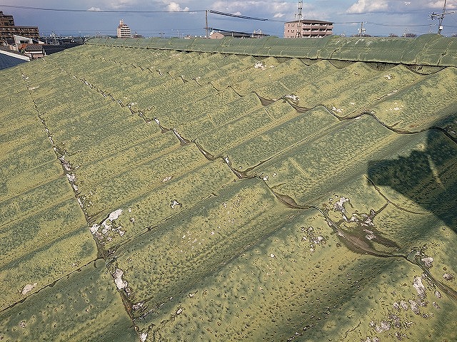 波打つように浮く屋根